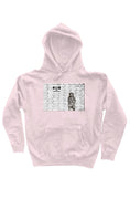 Load image into Gallery viewer, No Trespassing, heavyweight pullover hoodie One Sided
