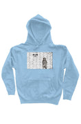 Load image into Gallery viewer, No Trespassing, heavyweight pullover hoodie One Sided
